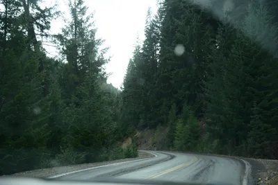 DSC_0860 (Large).JPG